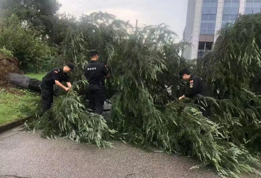 C:/Users/BA/Desktop/風(fēng)雨過(guò)后南京保安迅速行動(dòng)，恢復(fù)安“寧”面貌/1.jpg1